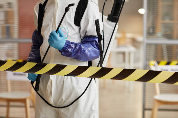 Professional Hoarding Cleanup technician working in Dayton, TX